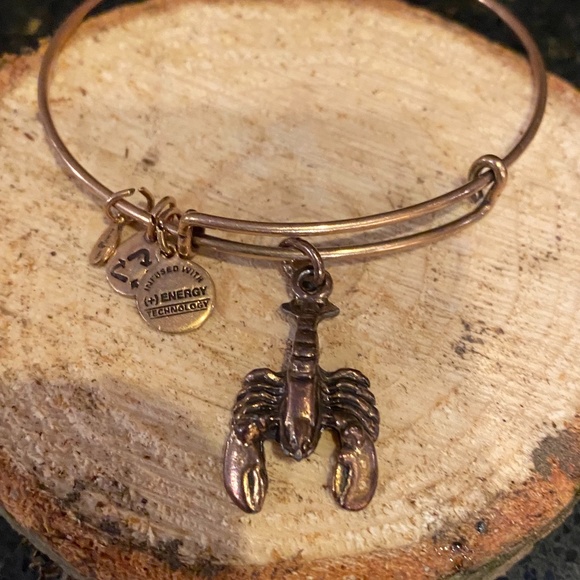 Alex And Ani Lobster Bracelet - Picture 1 of 3